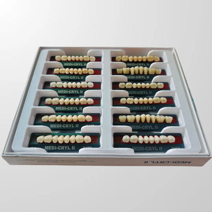 Medi-Cryl II Posteriors – Customized Box Of 12 Image 1