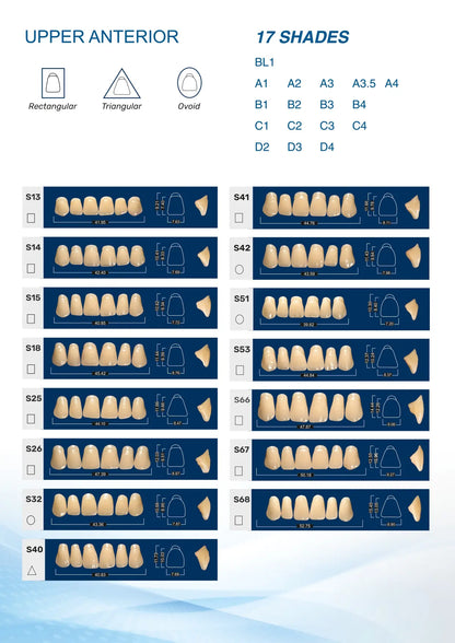Medi-Cryl II Upper Anterior Teeth Mould Chart - S Series (Models S13 to S68) in 17 Shades