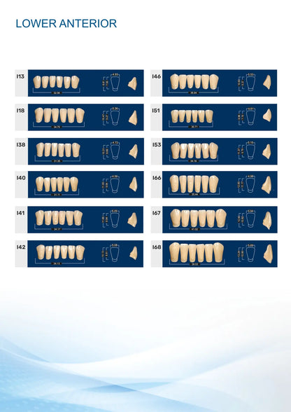 Medi-Cryl II Lower Anterior Teeth Mould Chart - I Series Mandibular Shapes (Models I13 to I68)