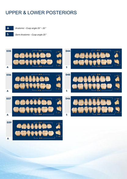 Medi-Cryl II Posterior Teeth Mould Chart - Anatomic (30 Degree) and Semi-Anatomic (20 Degree) Models D35 to D46