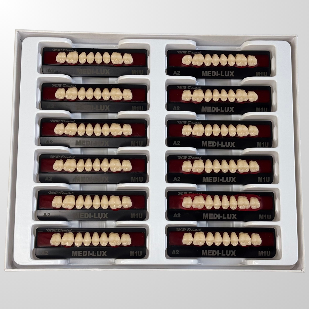 Medi-Lux Posteriors Box of 12 | British RPD Teeth set at just ₹1390 ...