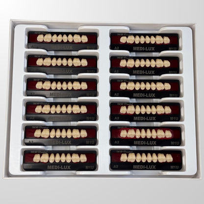 Medi-Lux Two Layer Acrylic Teeth Bulk Box - Anterior Sets (Set of 6) in Box of 8 Laboratory Packaging