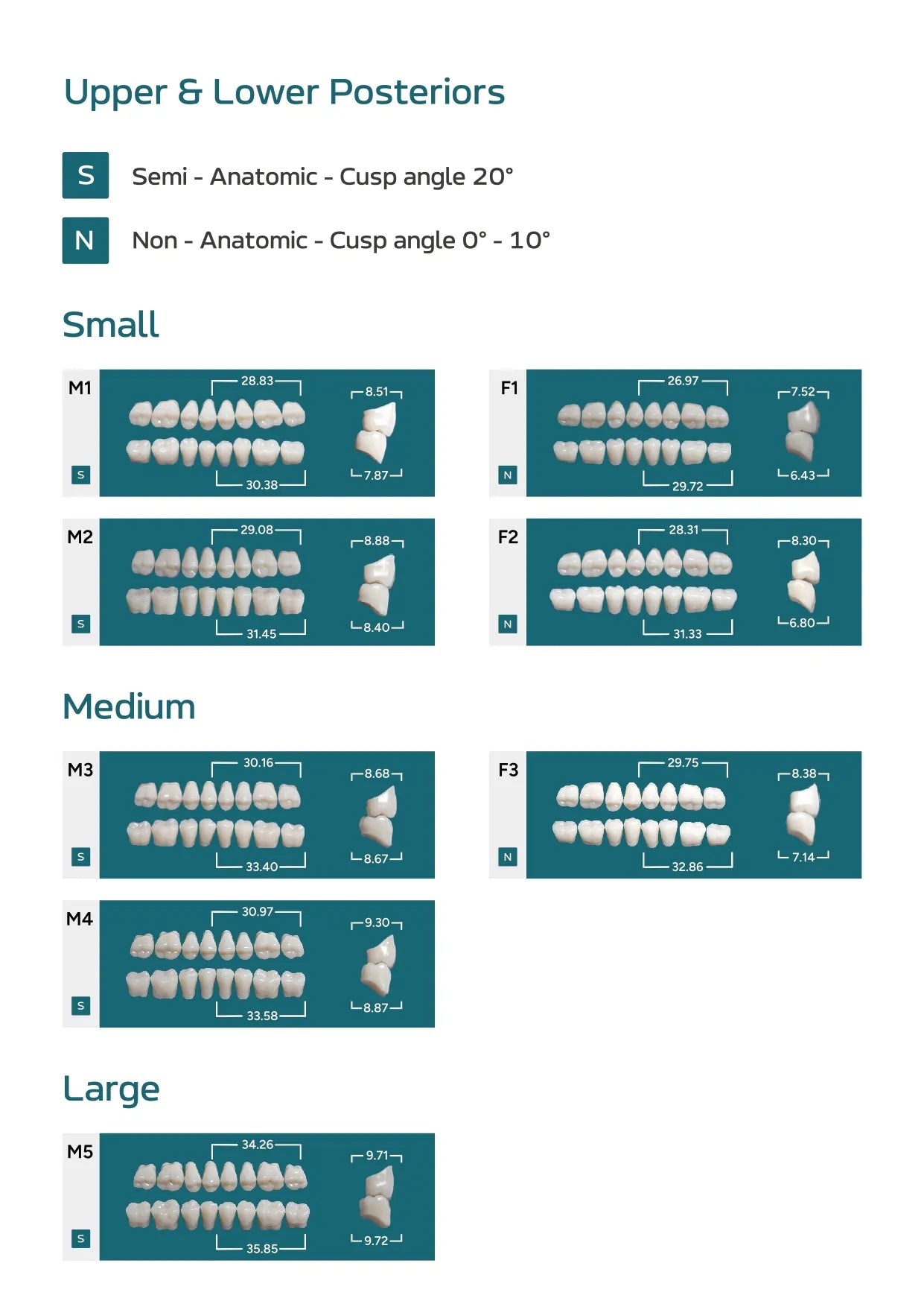 MEDI-LUX ANTERIORS (BOX OF 18)