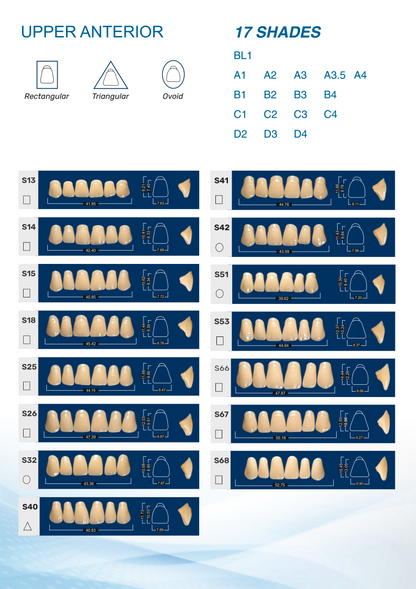 Medi-Cryl II Upper Anterior Teeth Mould Chart - S Series (Models S13 to S68) in 17 Shades