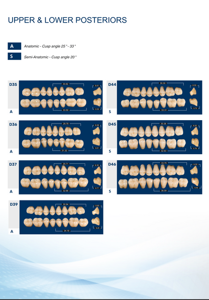 Medi-Cryl II Posterior Teeth Mould Chart - Anatomic (30 Degree) and Semi-Anatomic (20 Degree) Models D35 to D46