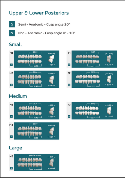 Medi-Lux Posterior Teeth Mould Chart - Semi-Anatomic (20 Degree) and Non-Anatomic (0 Degree) Models M1 to F3