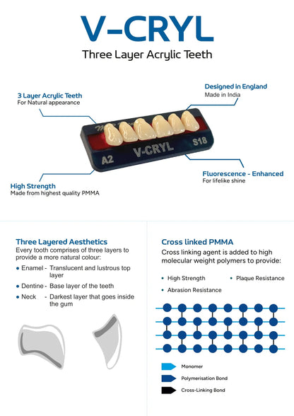 V-Cryl Three Layer Acrylic Teeth Technology - Cross Linked PMMA Structure for High Strength, Abrasion Resistance, and Natural Three Layered Aesthetics