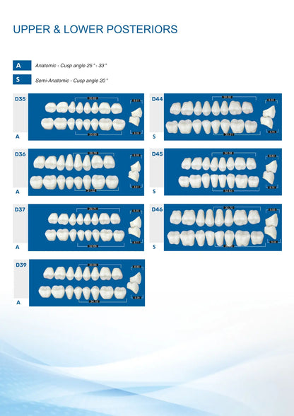 V-Cryl Upper and Lower Posterior Teeth Mould Chart - Anatomic (25-33 Degree) and Semi-Anatomic (20 Degree) Models D35 to D46